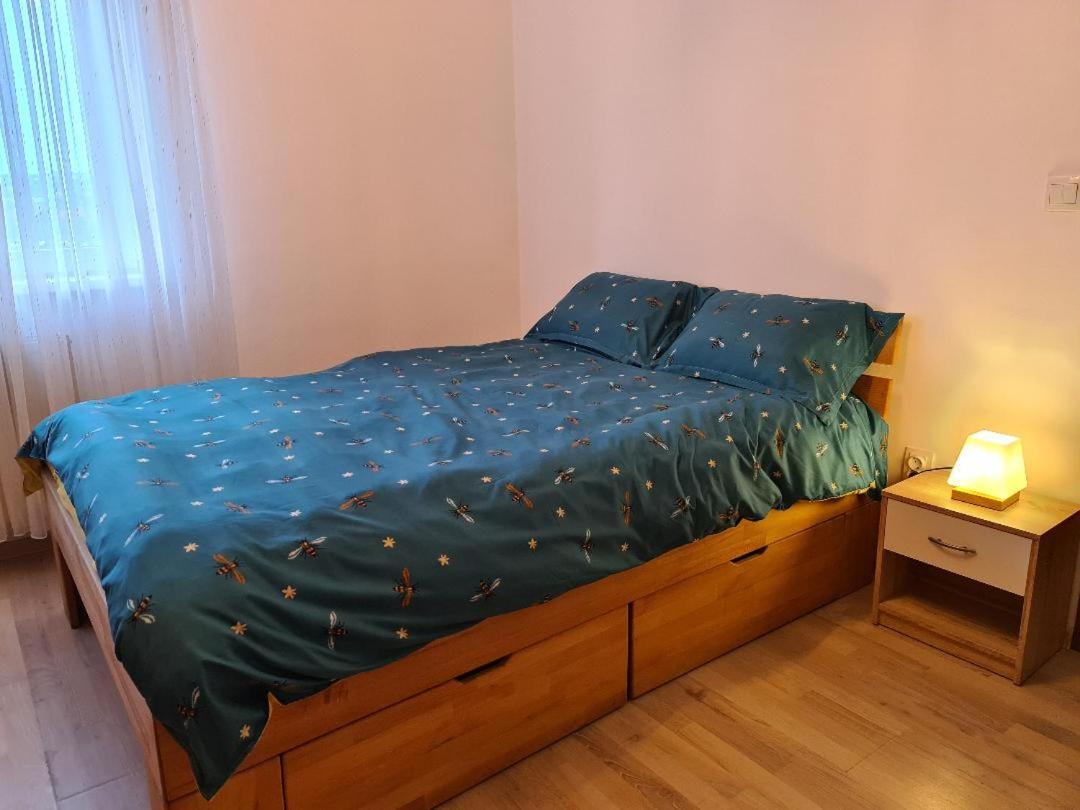 Appartement Central Cosy Apart Oradea Extérieur photo